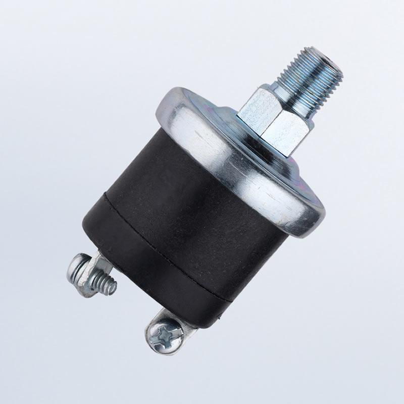 Pressure Switch 10 PSI